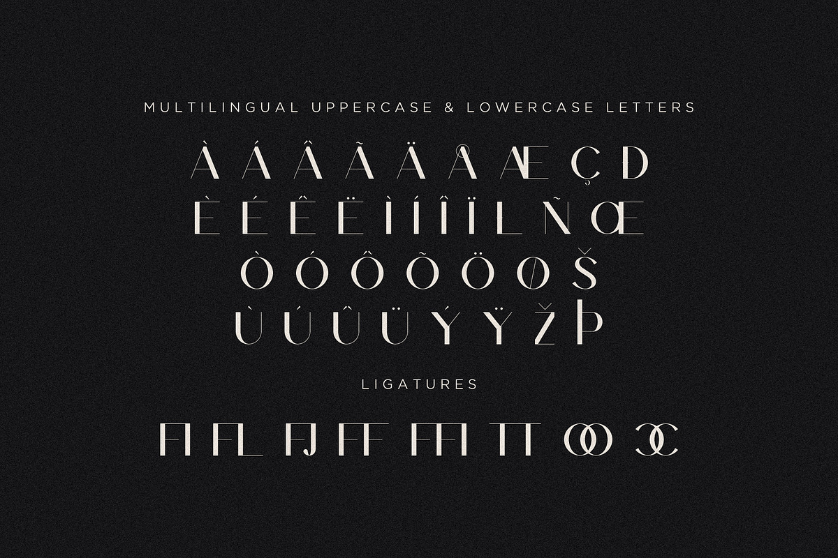 Moonlight - Modern Sans Serif, a Sans Serif Font by Mikhail Fukurou (Photo 6 of 9)