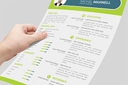 Professional Cv Resume, a Resume Template by designvillage (Thumbnail 6 of 12)