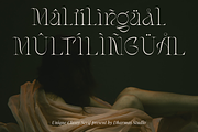 Stager - Unique Classy Serif, a Serif Font by Dharmas Foundry (Thumbnail 15 of 15)
