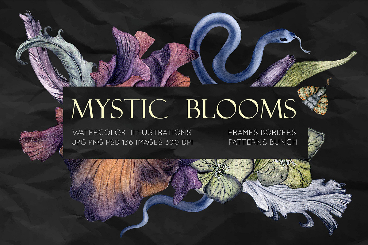 Dark floral watercolor clipart, an Illustration by Kate Lanbina (Photo 1 of 19)
