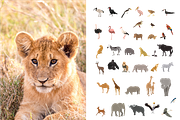 Summer collection, girls on safari, an Animal Illustration by Yana_mide (Thumbnail 4 of 9)