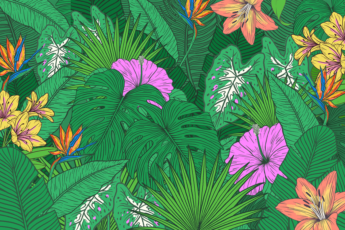Vintage Tropical Flora Illustrations, an Object Illustration by Jaclyn Caris (Photo 14 of 15)