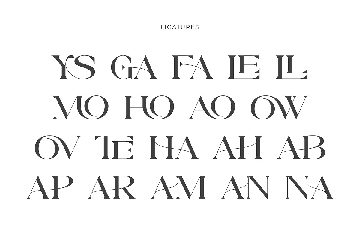 Faleys - Modern Serif Typeface, a Serif Font by Muflieart (Photo 10 of 10)