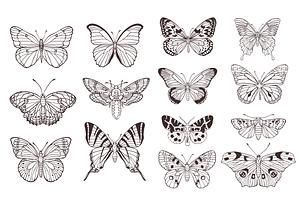 Set Of Hand Drawn Butterflies