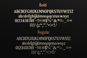 Monticello - Heritage Serif Typeface, a Serif Font by ZimlichMediaDesign (Thumbnail 2 of 10)