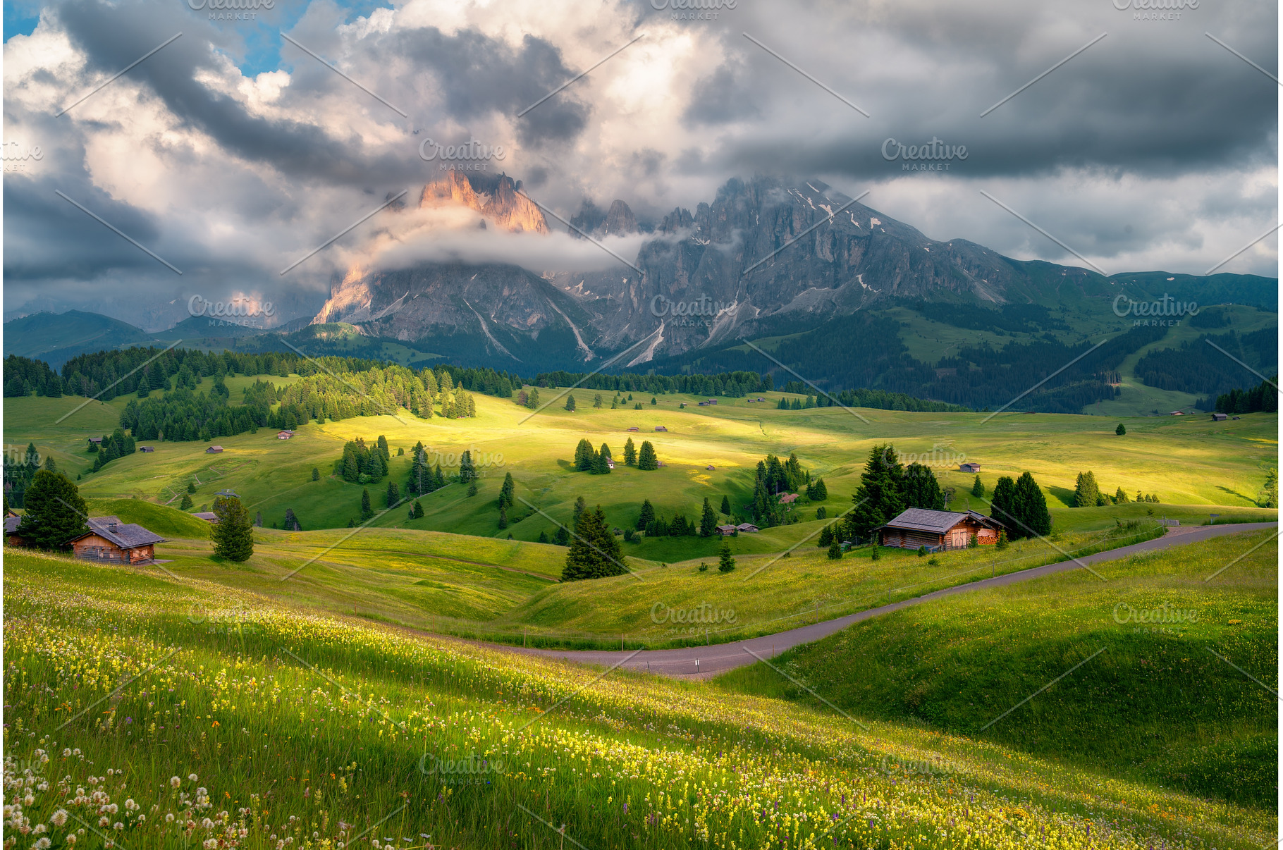 Green alpine meadows with flowers, a Nature Photo by den-belitsky