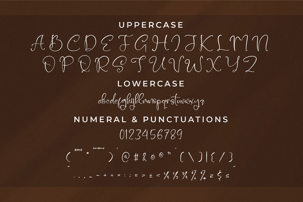 Varellyeen, a Handwritten Font by Integritype Studio (Photo 9 of 15)