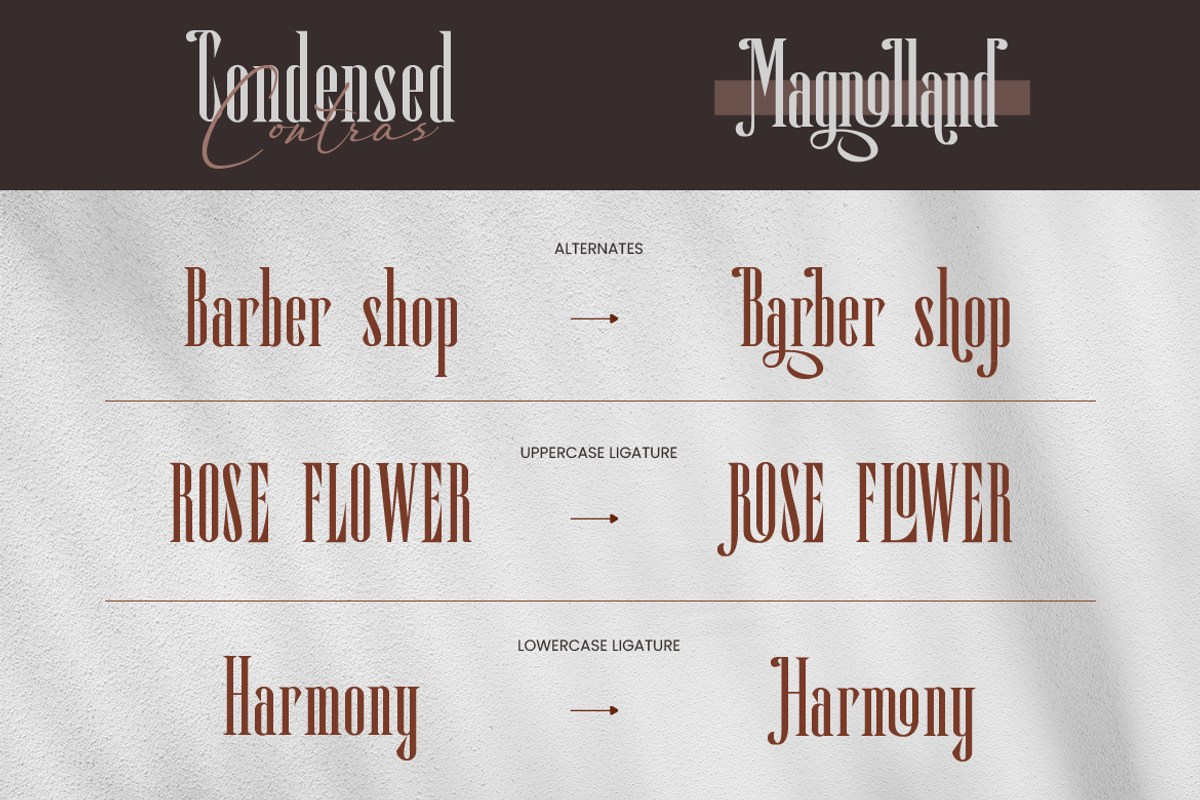 Magnolland, a Serif Font by kerismaker (Photo 5 of 12)