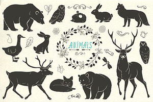 Hand Drawn Animals And Plants