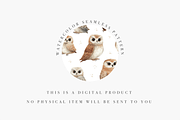Owl Seamless Pattern, a Decorative Illustration by Pati Charm Studio (Thumbnail 3 of 7)