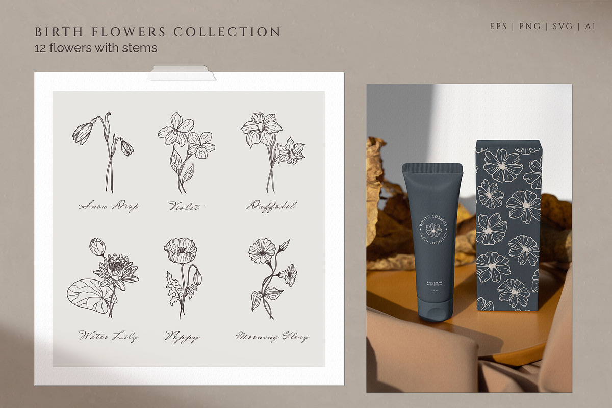 Hand drawn Birth Month Flowers, an Illustration by KirillsWorkshop (Photo 9 of 12)
