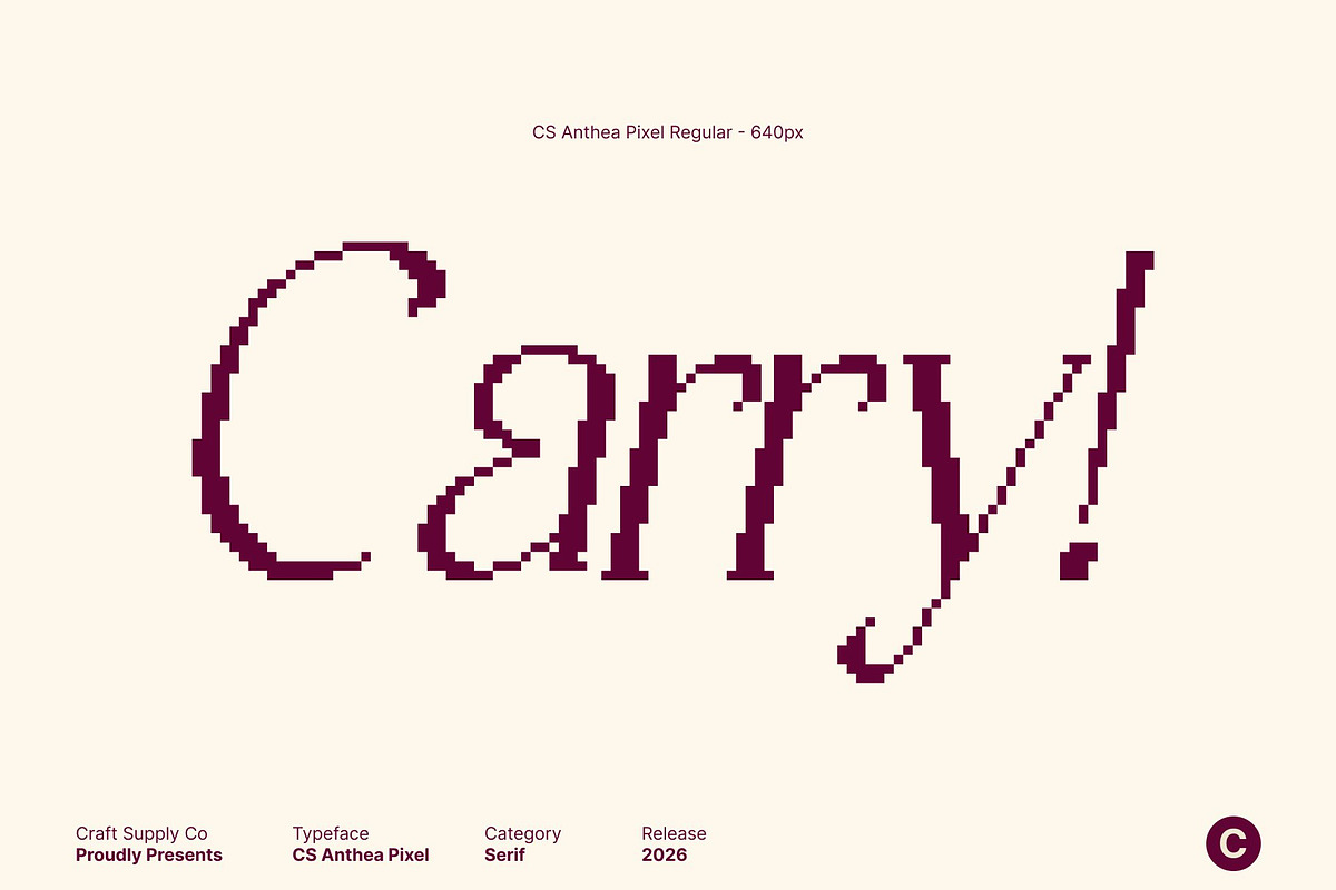 CS Anthea Pixel, a Serif Font by Craft Supply Co. (Photo 2 of 8)