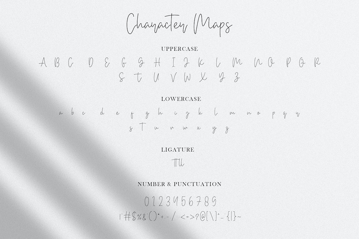Bethan White - Monoline Script Font, a Script Font by StringLabs (Photo 12 of 14)