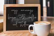 Skalinyas, a Script Font by operatype.co (Thumbnail 11 of 15)