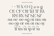 Moselle - Elegant Ligature Serif, a Serif Font by kangfont Studio (Thumbnail 9 of 9)