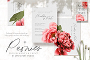 Peonies PNG Elements & Pattern, a Pattern Graphic by Artifactory Studios (Thumbnail 2 of 7)