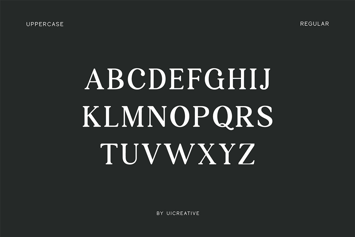 Grillages Modern Serif Font, a Serif Font by UICreative (Photo 7 of 11)
