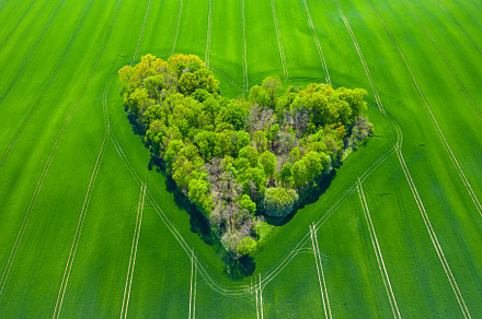 Natural Love Valentine Symbol.