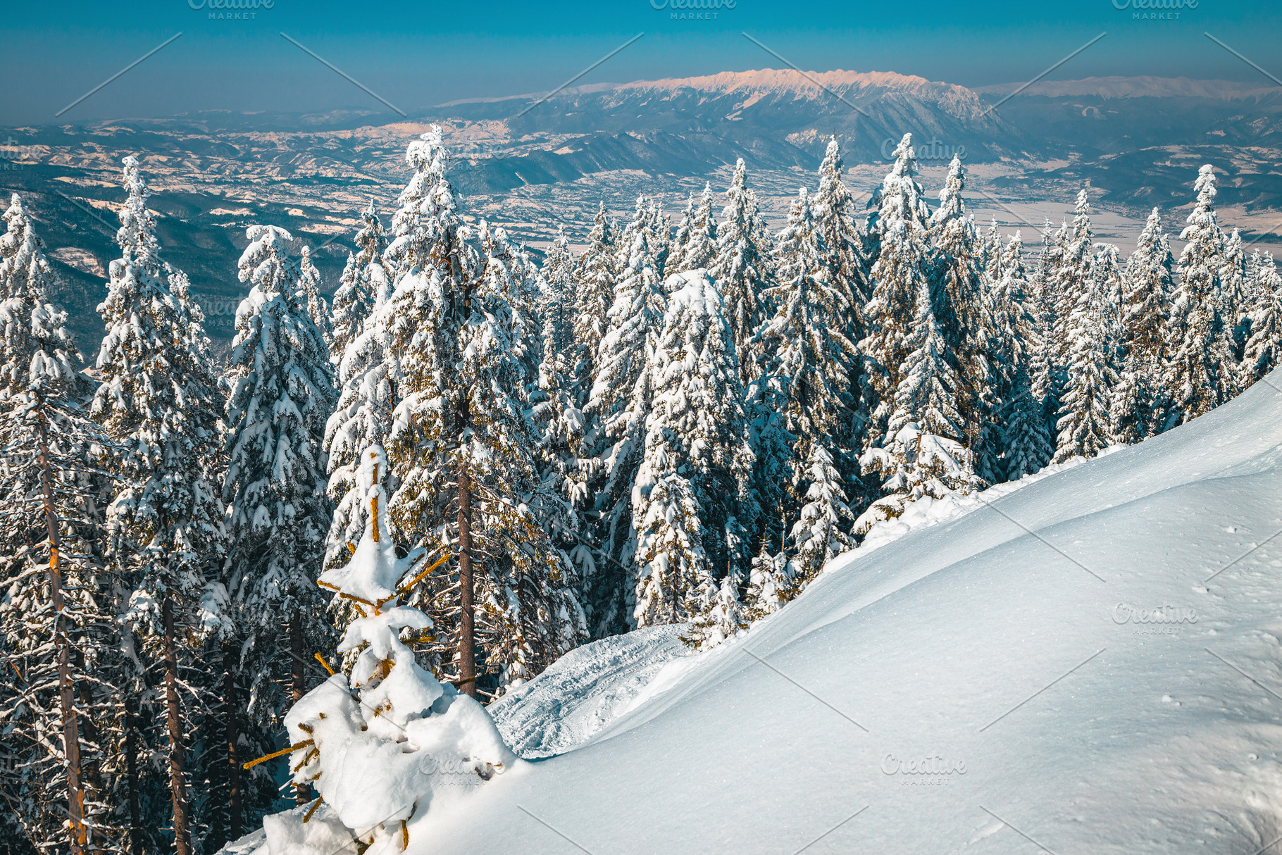 Real winter landscape, a Nature Photo by Alpine Dreams