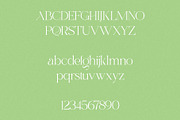 Mango Garden - Elegant Serif, a Serif Font by Misha Sova (Thumbnail 10 of 11)