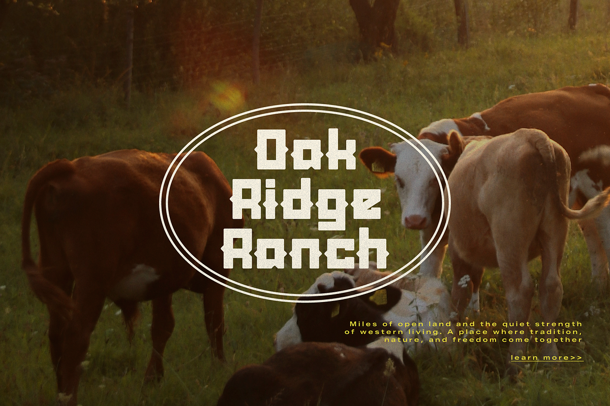 Lanarei | Western Slab Serif, a Slab Serif Font by gracetype_studio (Photo 4 of 12)