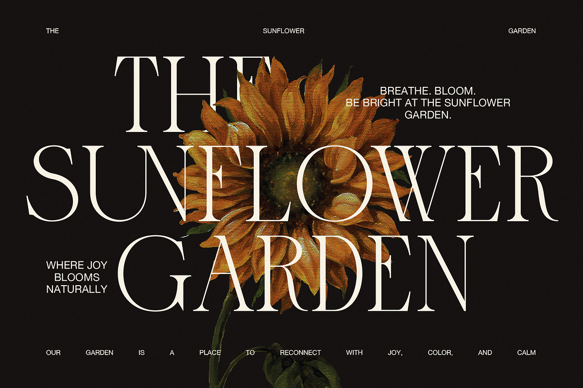 Marune Elegant Serif Font, a Serif Font by Graphicxell (Photo 2 of 8)