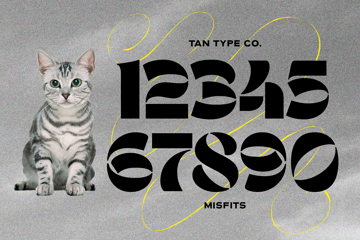 TAN - MISFITS, a Font by TanType (Photo 14 of 15)