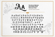 White Ascents - Victorian Serif, a Slab Serif Font by Bale Type (Thumbnail 9 of 9)