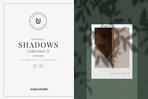 Organic Shadows Effect Collection II