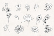 Floral Line Art SVG Botanical Frames, an Illustration by PawGraphic (Thumbnail 2 of 10)