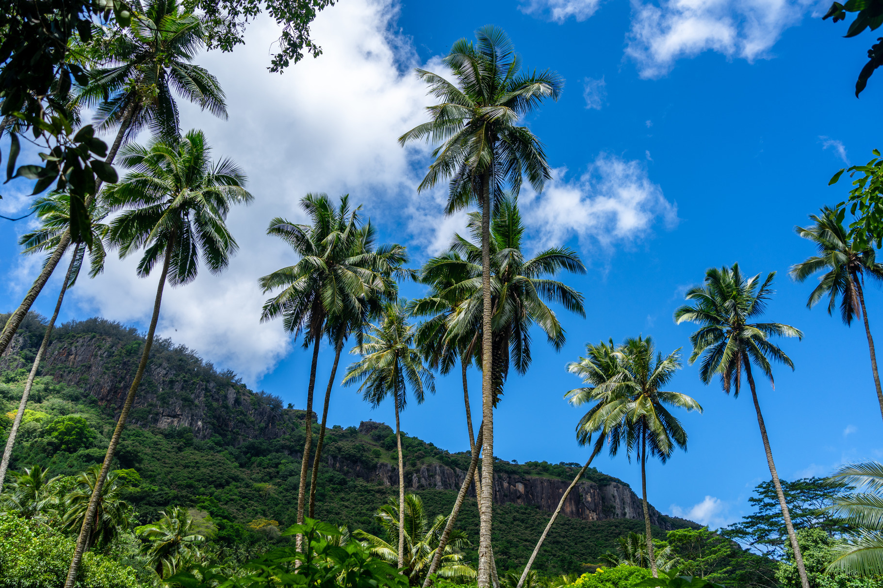 Trek to Vaipo waterfall, Hakaui Valley, Nuku Hiva, French Polyne, a ...