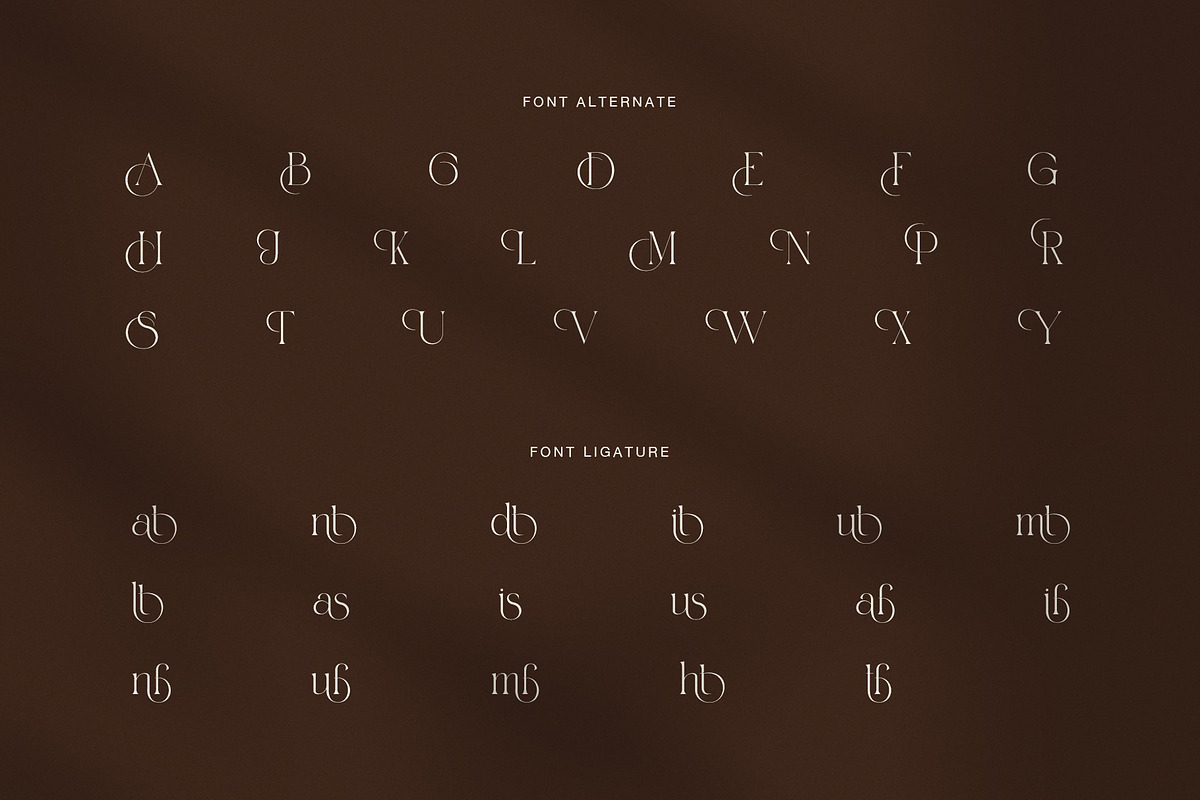 Hident Elegant Serif Display Font, a Serif Font by Graphicxell (Photo 8 of 8)