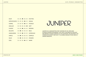 Juniper Handwritten Font Bundle