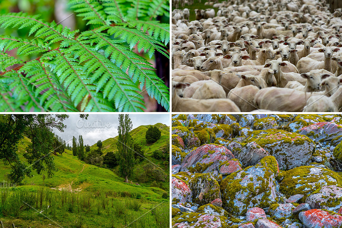Textures of New Zealand - Bundle, a Nature Photo by Deviant (Photo 3 of 5)