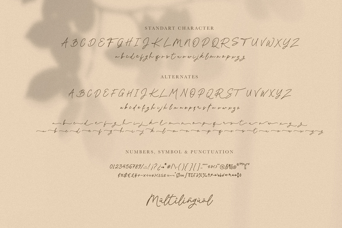 Sillvana - Modern Handwriting, a Script Font by ARSAVISUAL (Photo 8 of 9)