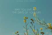 Alison Handwritten Font Duo, a Script Font by Artcoast Fonts (Thumbnail 9 of 17)