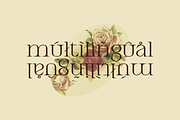 Armeston - Modern Serif, a Serif Font by tebaltipislab (Thumbnail 9 of 15)