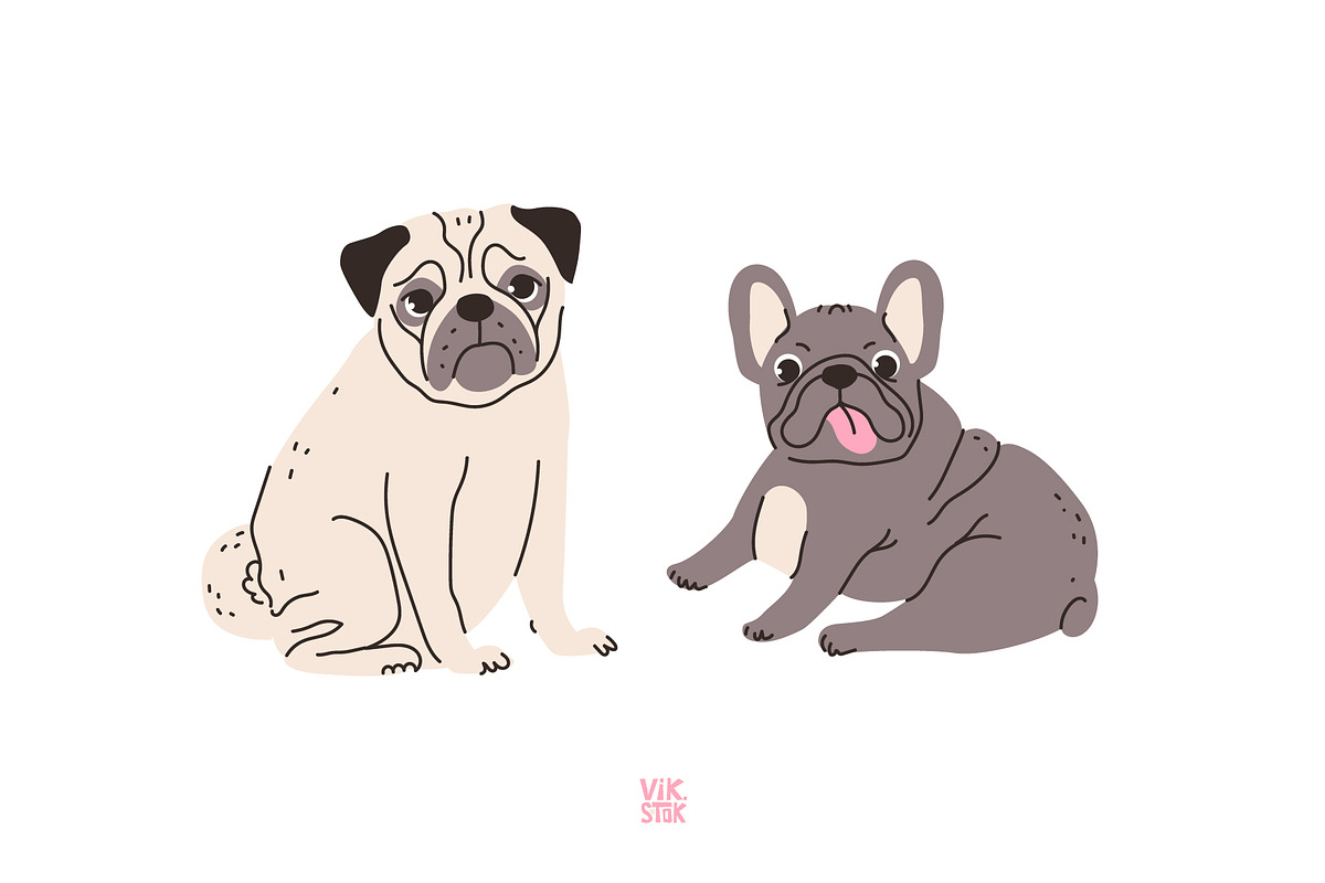 Cute dogs of different breeds set, an Animal Illustration by vik.stock (Photo 3 of 11)
