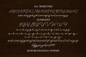 The Randi - Handwritten Script