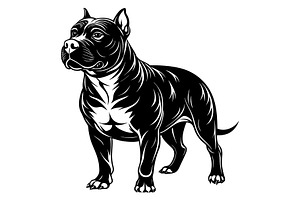 American Pitbull, an Illustration by Mark1987