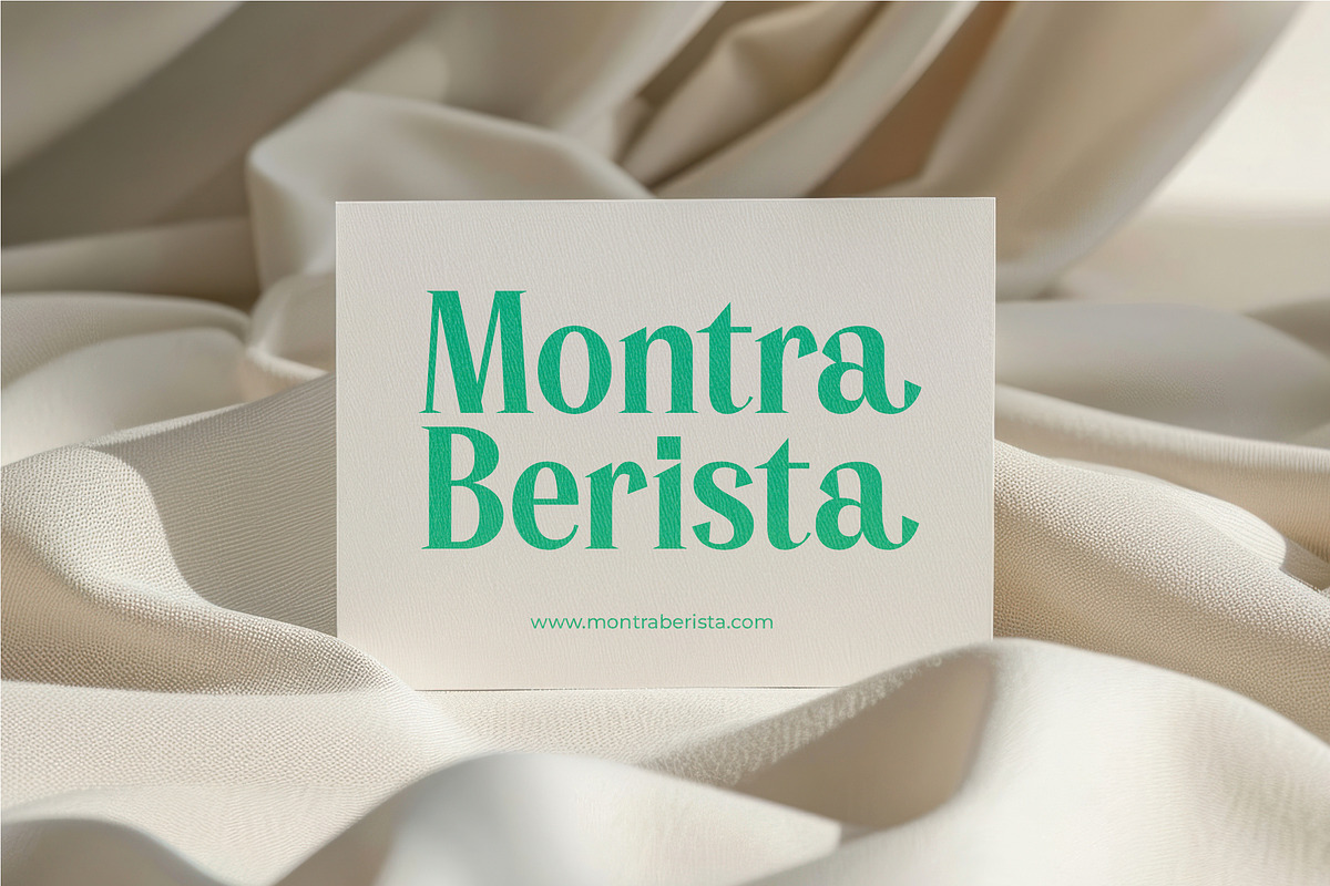 Manica Modern Editorial Serif, a Serif Font by timelesstype.co (Photo 13 of 20)