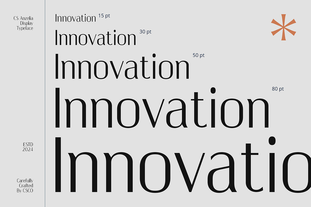 CS Anzelia – Modern Font, a Sans Serif Font by Craft Supply Co. (Photo 2 of 8)