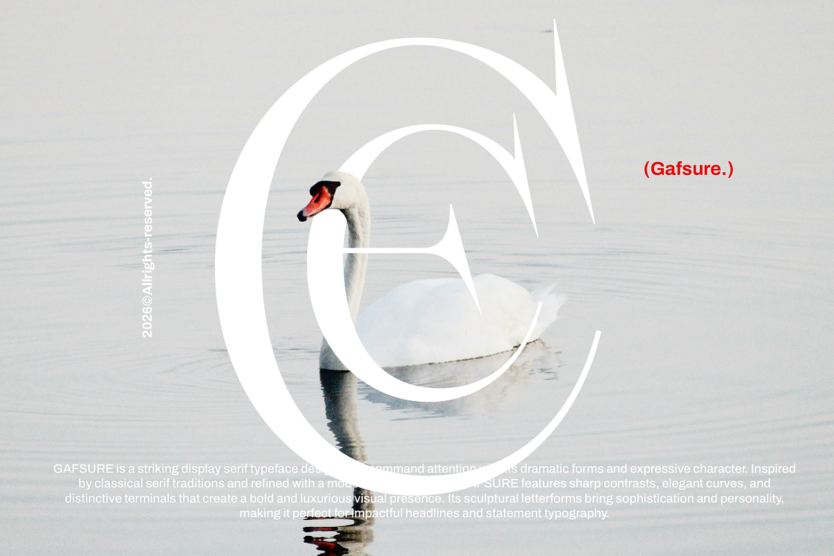 Gafsure | Modern Serif, a Serif Font by Jolicia Type (Photo 9 of 15)