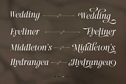 Rathina - Casual Italic, a Serif Font by Novitype (Thumbnail 6 of 13)