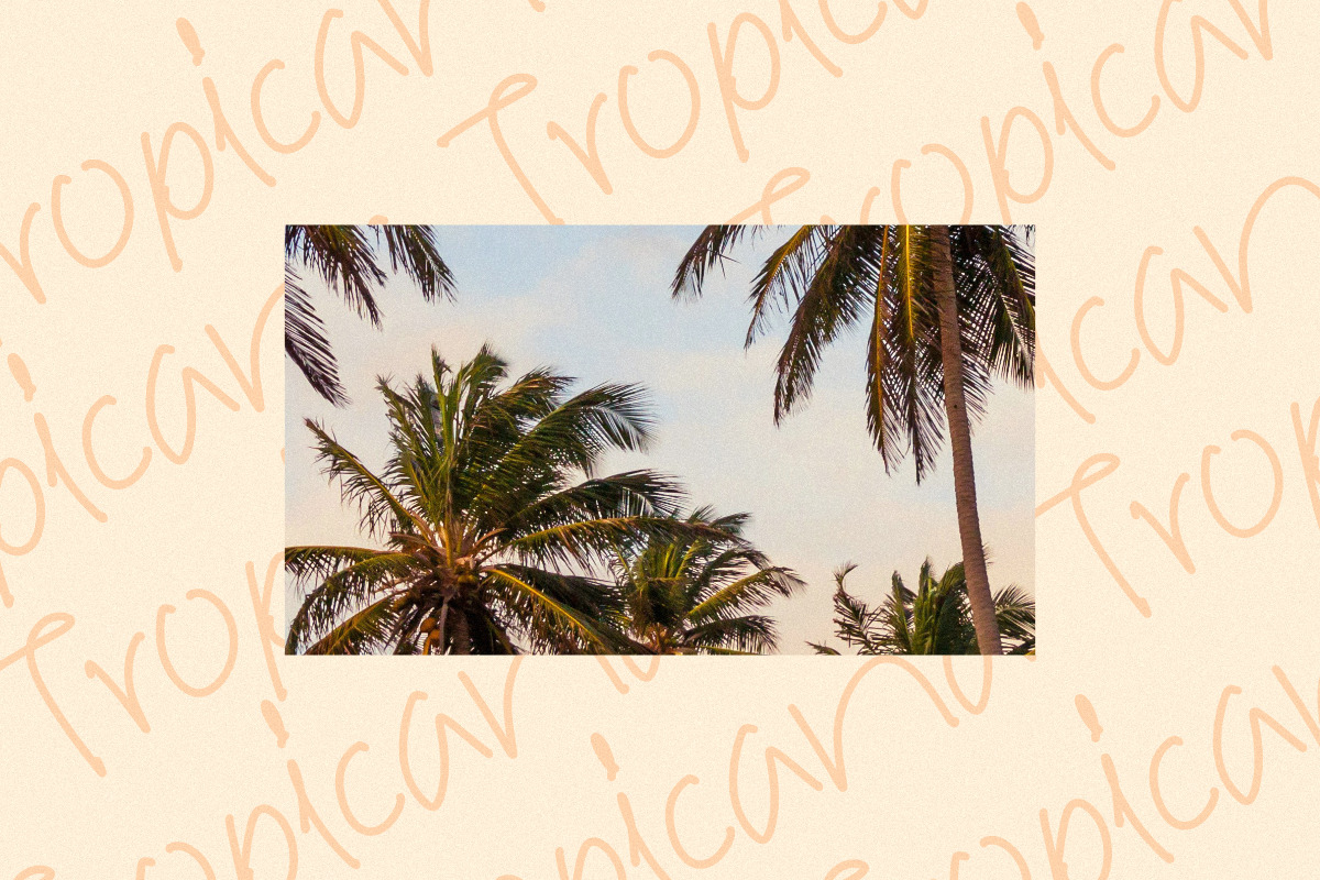 Radiant Summertime, a Handwritten Font by Rillatype (Photo 4 of 10)
