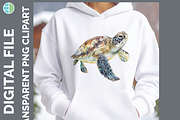 Sea Turtle Illustration Bundle PNG, an Animal Illustration by Enliven Designs (Thumbnail 3 of 8)