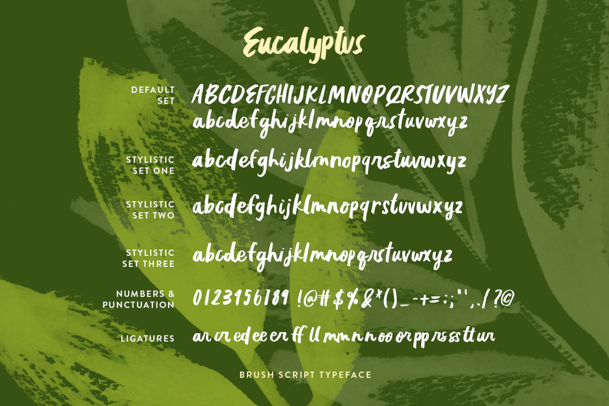 Eucalyptus Brush Script preview 2