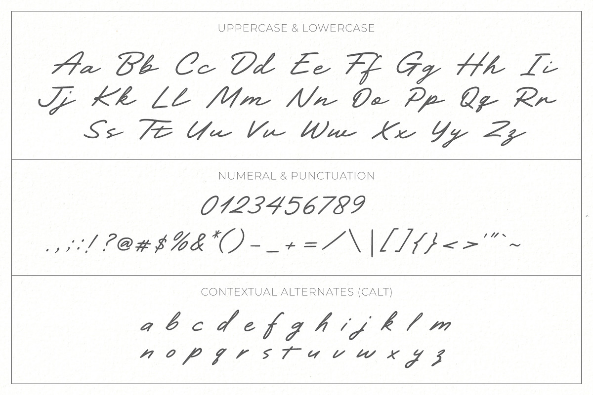 Darline Handwritten Font, a Script Font by Ef Studio (Photo 15 of 15)