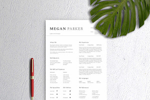 Clean Resume