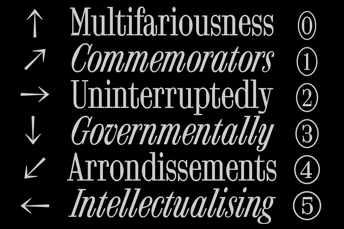 FTC Foldyne, a Serif Font by Fridaytype (Photo 8 of 12)